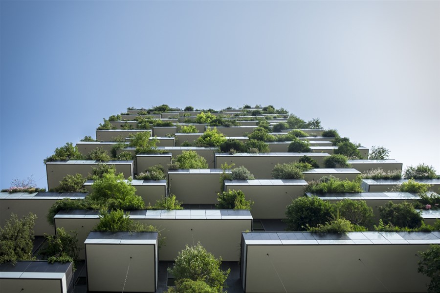 Bericht Maak de gebouwen groen (bijv. hangende tuinen, groende daken). Het is duurzaam en biodivers. bekijken